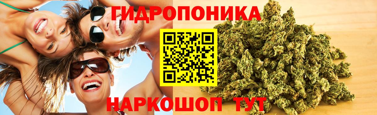 Бошки Шишки план Уссурийск